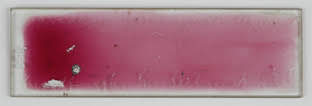 Slide from Faraday's 1858 lecture