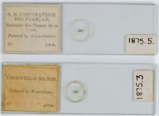 Two microphotograph slides