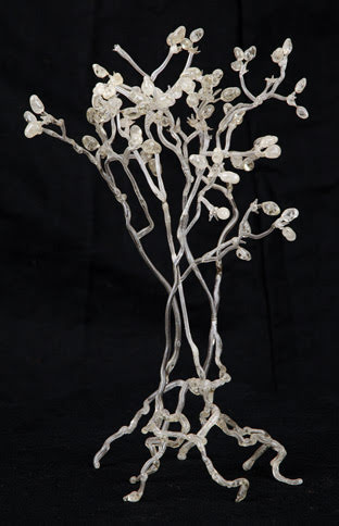 25cm glass model of Bremia lactucae (downy mildew)