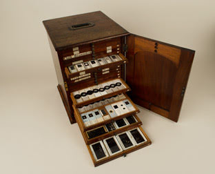 Wooden cabinet containing several hundred foraminifera slides.
